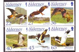 Alderney 2002