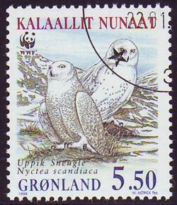 Grønland 1999