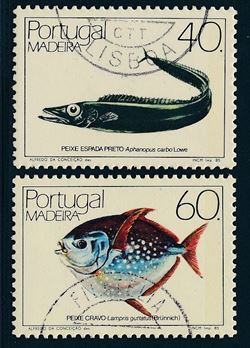 Madeira 1985