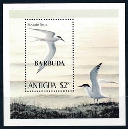 Barbuda 1980