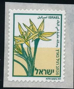 Israel 2005