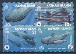 Cayman Islands 2003