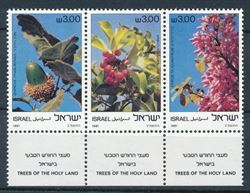 Israel 1981