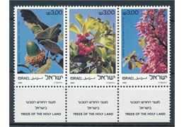 Israel 1981
