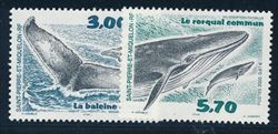 Saint-Pierre et Miquelon 2000
