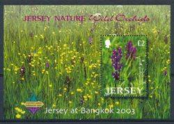 Jersey 2003