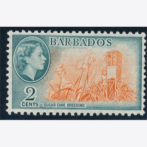 Barbados 1954