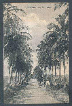 Danish West Indies