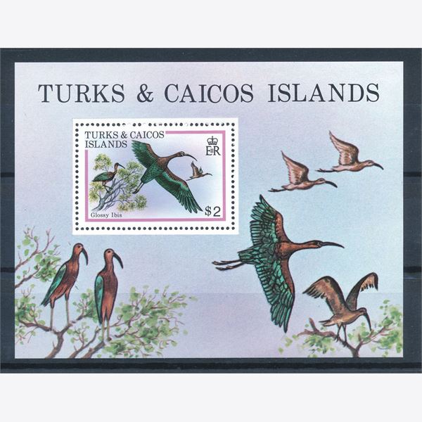 Turks & Caicos Islands 1980