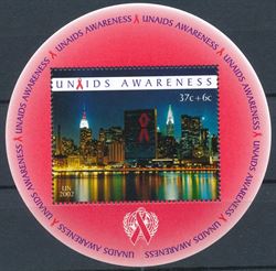 U.N. New York 2002
