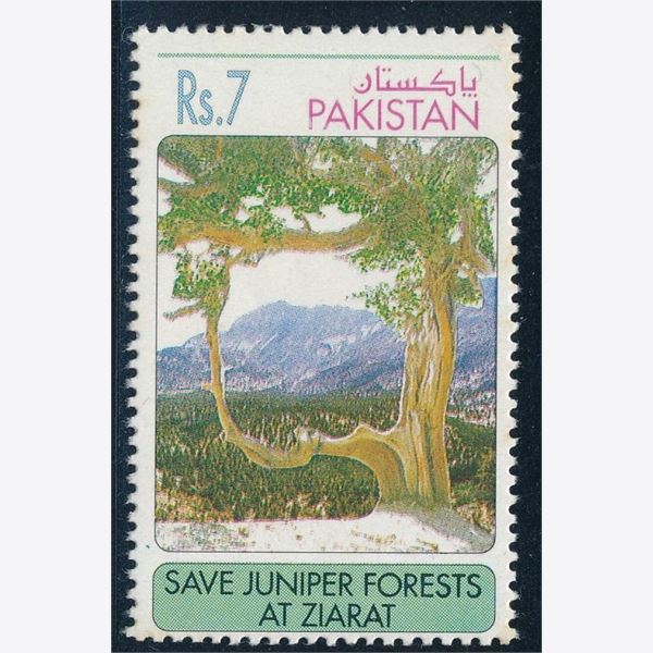 Pakistan 1993