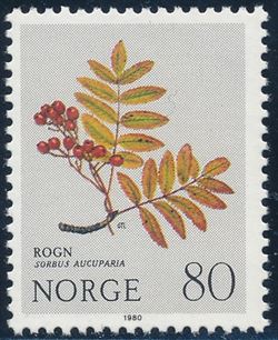 Norge 1980