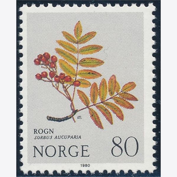 Norge 1980