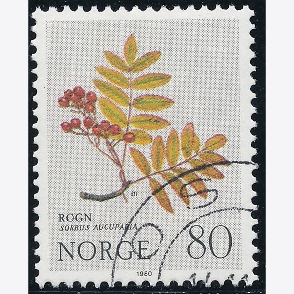 Norge 1980