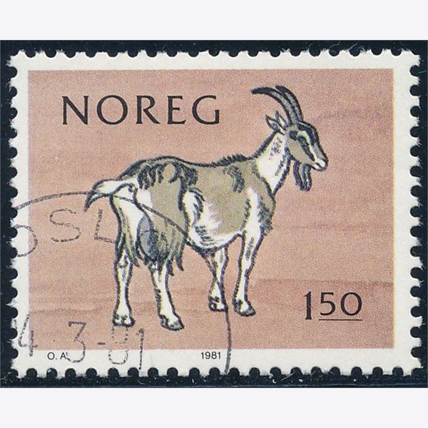 Norge 1981