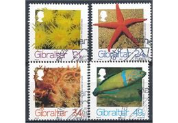 Gibraltar 1994