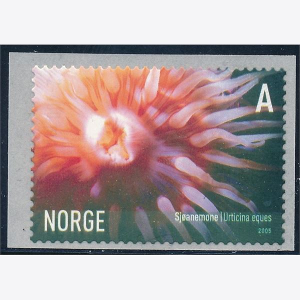 Norway 2005