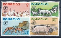 Bahamas 1981