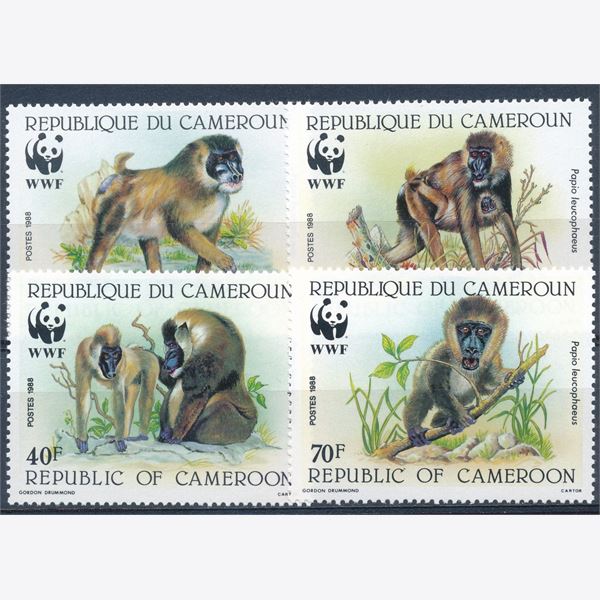 Cameroun 1988