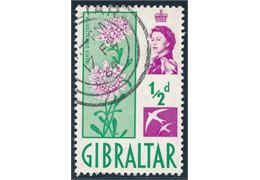 Gibraltar 1960