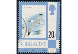 Gibraltar 1977