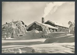 Norway 1954